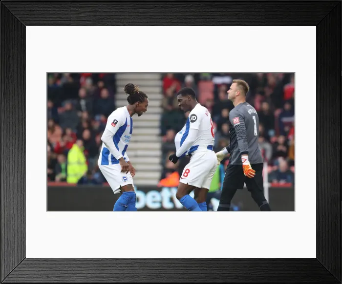 Framed Print : FA Cup Third Round: AFC Bournemouth vs. Brighton and Hove Albion, 5th January 2019 - Intense Match Action at Vitality Stadium Framed Print : FA Cup Third Round: AFC Bournemouth vs. Brighton and Hove Albion, 5th January 2019 - Intense Match Action at Vitality Stadium