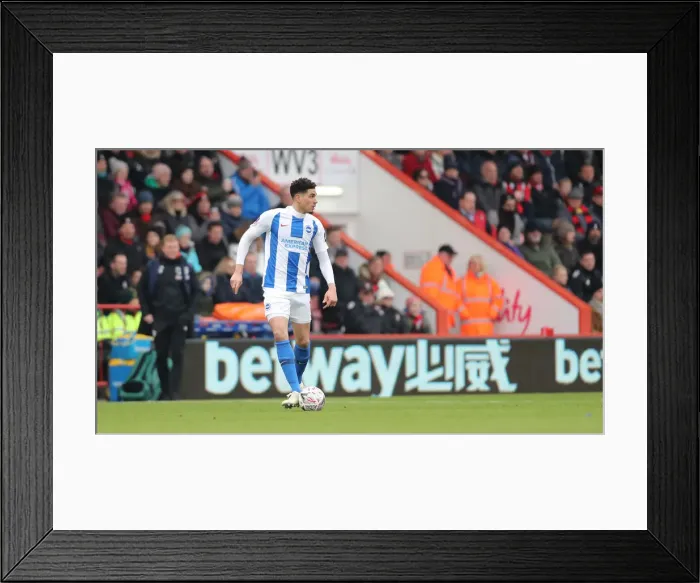 Framed Print : FA Cup Third Round: AFC Bournemouth vs. Brighton and Hove Albion (5 January 2019) - Intense Match Action at Vitality Stadium Framed Print : FA Cup Third Round: AFC Bournemouth vs. Brighton and Hove Albion (5 January 2019) - Intense Match Action at Vitality Stadium