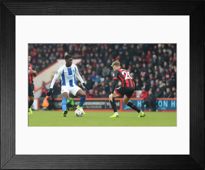 Framed Print : FA Cup 3rd Round: Brighton and Hove Albion vs. AFC Bournemouth Clash at Vitality Stadium (05.01.19) Framed Print : FA Cup 3rd Round: Brighton and Hove Albion vs. AFC Bournemouth Clash at Vitality Stadium (05.01.19)