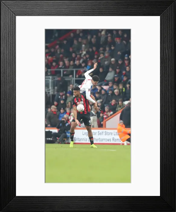 Framed Print : FA Cup Third Round: AFC Bournemouth vs. Brighton and Hove Albion, 5th January 2019 - Intense Match Action at Vitality Stadium Framed Print : FA Cup Third Round: AFC Bournemouth vs. Brighton and Hove Albion, 5th January 2019 - Intense Match Action at Vitality Stadium