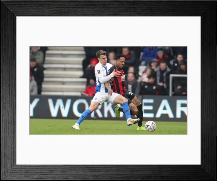 Framed Print : FA Cup Third Round: AFC Bournemouth vs. Brighton and Hove Albion - Intense Match Action at Vitality Stadium (05JAN19) Framed Print : FA Cup Third Round: AFC Bournemouth vs. Brighton and Hove Albion - Intense Match Action at Vitality Stadium (05JAN19)