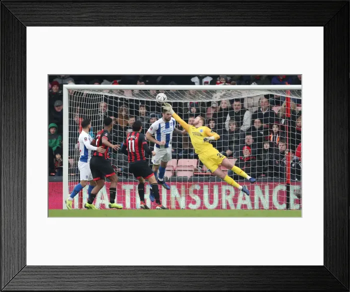 Framed Print : FA Cup Third Round: AFC Bournemouth vs. Brighton and Hove Albion - Intense Match Action at Vitality Stadium (05.01.2019) Framed Print : FA Cup Third Round: AFC Bournemouth vs. Brighton and Hove Albion - Intense Match Action at Vitality Stadium (05.01.2019)