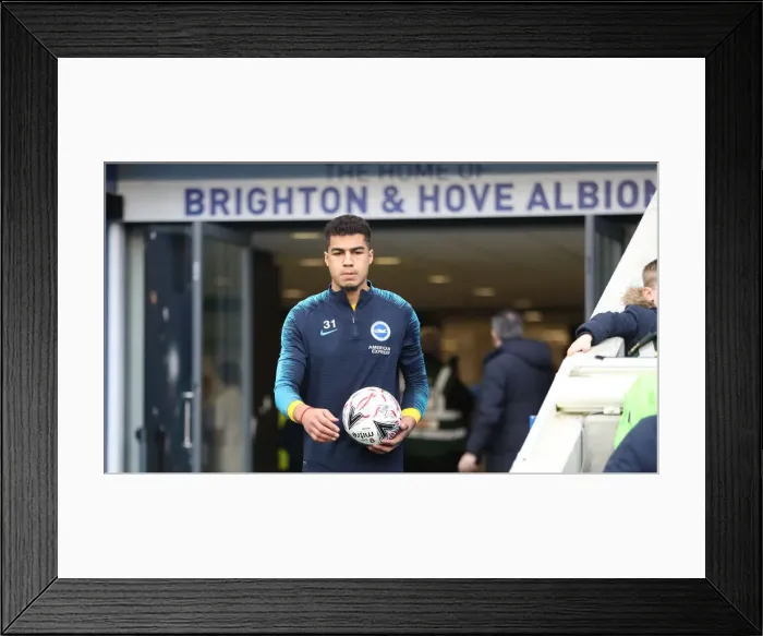 Framed Print : Brighton and Hove Albion vs. West Bromwich Albion: Emirates FA Cup Clash at American Express Community Stadium (January 2019)