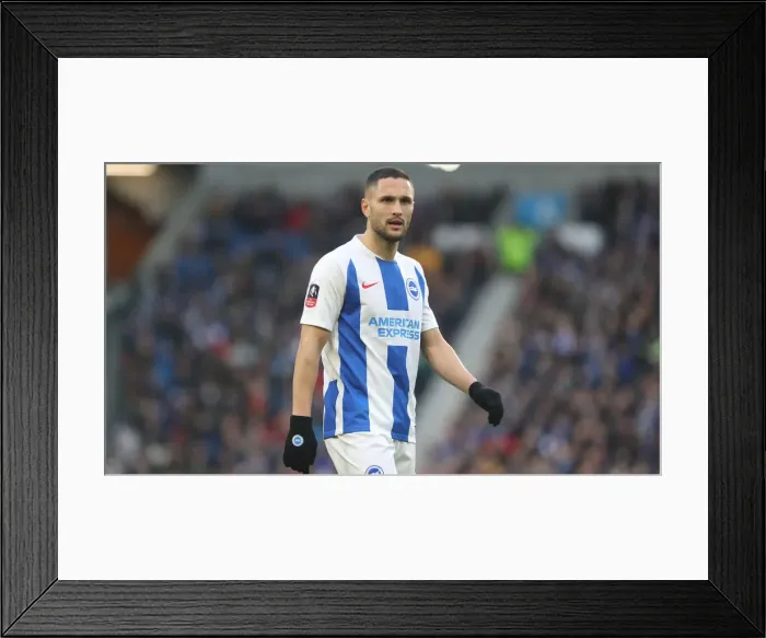 Framed Print : Brighton and Hove Albion vs. West Bromwich Albion: Emirates FA Cup Clash at American Express Community Stadium (January 2019) Framed Print : Brighton and Hove Albion vs. West Bromwich Albion: Emirates FA Cup Clash at American Express Community Stadium (January 2019)