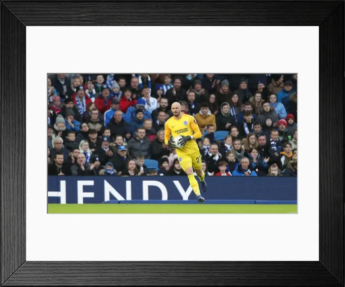 Framed Print : Brighton and Hove Albion vs. West Bromwich Albion: Emirates FA Cup Clash at American Express Community Stadium (January 2019)