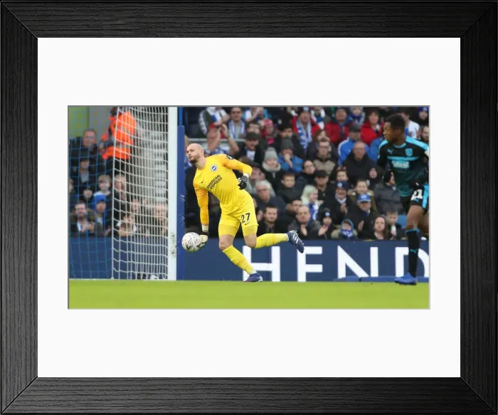 Framed Print : Brighton and Hove Albion vs. West Bromwich Albion: FA Cup Clash at American Express Community Stadium (26th January 2019)