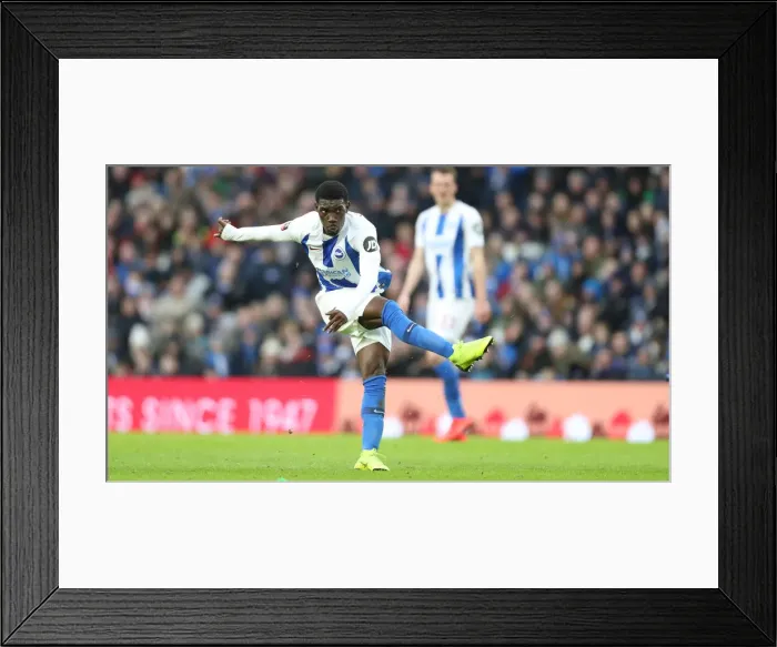 Framed Print : Emirates FA Cup Clash: Brighton & Hove Albion vs. West Bromwich Albion (American Express Community Stadium, 26th January 2019)