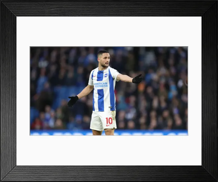 Framed Print : Emirates FA Cup: Brighton and Hove Albion vs. West Bromwich Albion Clash at American Express Community Stadium (26th January 2019) Framed Print : Emirates FA Cup: Brighton and Hove Albion vs. West Bromwich Albion Clash at American Express Community Stadium (26th January 2019)