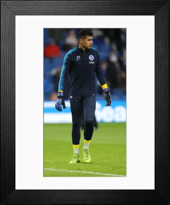 Framed Print : Brighton and Hove Albion vs. West Bromwich Albion: FA Cup Clash at American Express Community Stadium (2019)