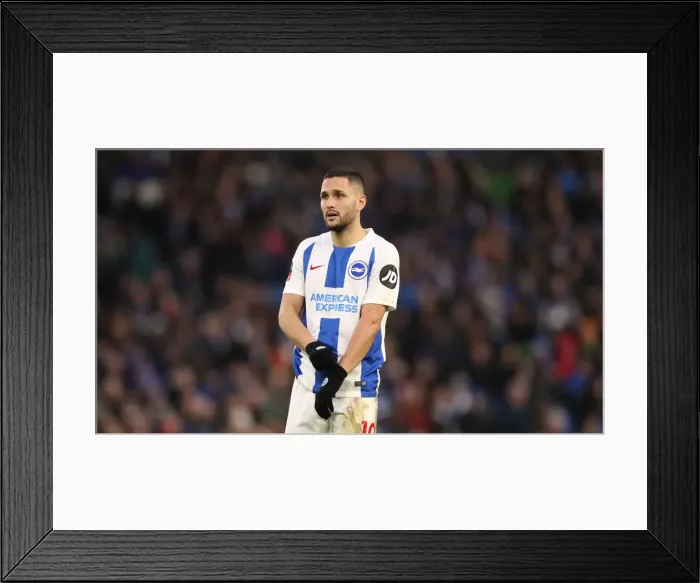 Framed Print : Emirates FA Cup: Brighton & Hove Albion vs. West Bromwich Albion Clash at American Express Community Stadium (26.01.2019)
