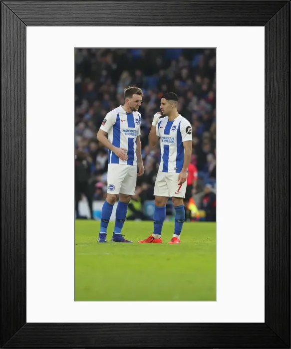 Framed Print : Brighton and Hove Albion vs. West Bromwich Albion: Emirates FA Cup Clash at American Express Community Stadium (26th January 2019) Framed Print : Brighton and Hove Albion vs. West Bromwich Albion: Emirates FA Cup Clash at American Express Community Stadium (26th January 2019)