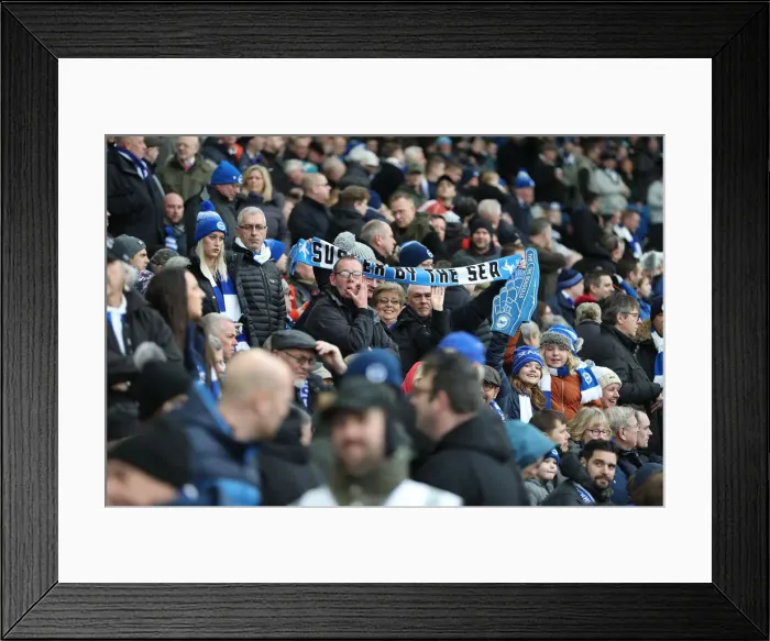 Framed Print : Brighton and Hove Albion vs. West Bromwich Albion: FA Cup Clash at American Express Community Stadium (January 26, 2019)