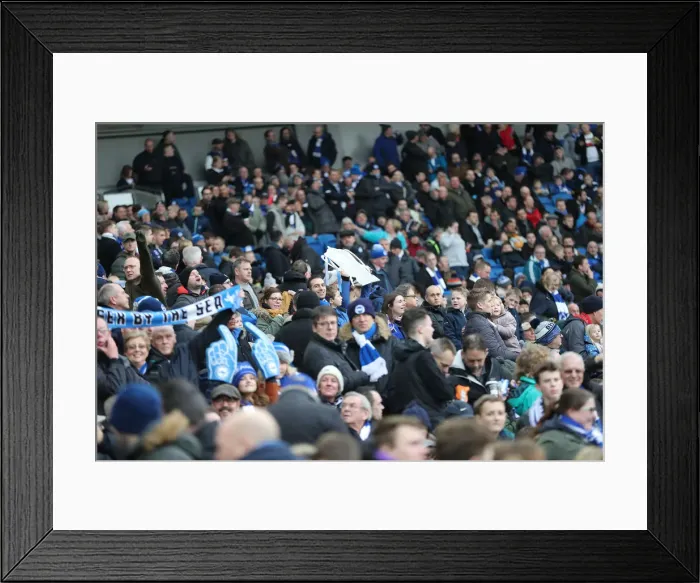 Framed Print : Brighton & Hove Albion vs. West Bromwich Albion: Emirates FA Cup Clash at American Express Community Stadium (January 26, 2019) Framed Print : Brighton & Hove Albion vs. West Bromwich Albion: Emirates FA Cup Clash at American Express Community Stadium (January 26, 2019)