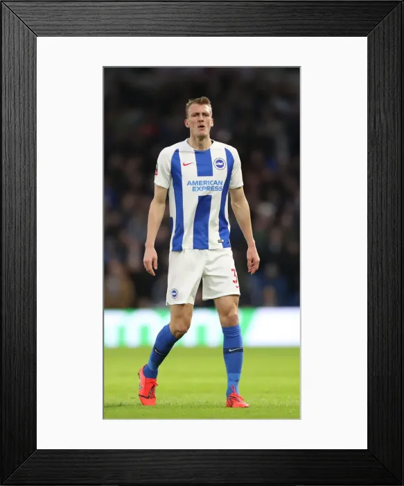 Framed Print : Brighton & Hove Albion vs. West Bromwich Albion: Emirates FA Cup Clash at American Express Community Stadium (January 26, 2019) Framed Print : Brighton & Hove Albion vs. West Bromwich Albion: Emirates FA Cup Clash at American Express Community Stadium (January 26, 2019)