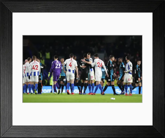 Framed Print : Brighton & Hove Albion vs. West Bromwich Albion: Emirates FA Cup Clash at American Express Community Stadium (January 26, 2019) Framed Print : Brighton & Hove Albion vs. West Bromwich Albion: Emirates FA Cup Clash at American Express Community Stadium (January 26, 2019)