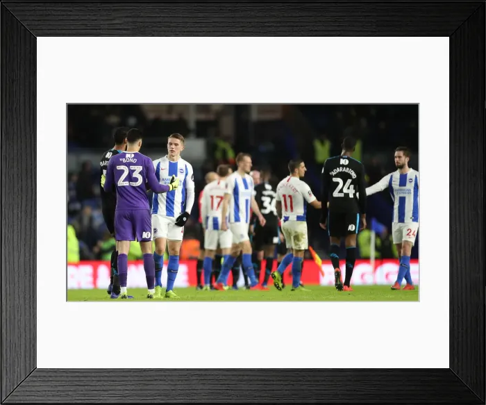 Framed Print : Brighton & Hove Albion vs. West Bromwich Albion: Emirates FA Cup Showdown at American Express Community Stadium (January 26, 2019) Framed Print : Brighton & Hove Albion vs. West Bromwich Albion: Emirates FA Cup Showdown at American Express Community Stadium (January 26, 2019)