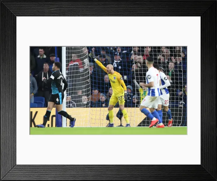 Framed Print : Brighton & Hove Albion vs. West Bromwich Albion: Emirates FA Cup Clash at American Express Community Stadium (January 26, 2019) Framed Print : Brighton & Hove Albion vs. West Bromwich Albion: Emirates FA Cup Clash at American Express Community Stadium (January 26, 2019)