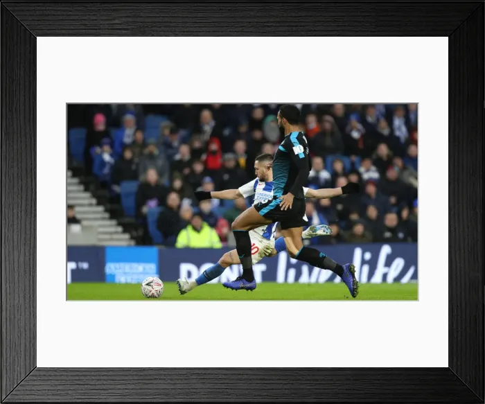 Framed Print : Brighton & Hove Albion vs. West Bromwich Albion: FA Cup Clash at American Express Community Stadium (26th January 2019) Framed Print : Brighton & Hove Albion vs. West Bromwich Albion: FA Cup Clash at American Express Community Stadium (26th January 2019)