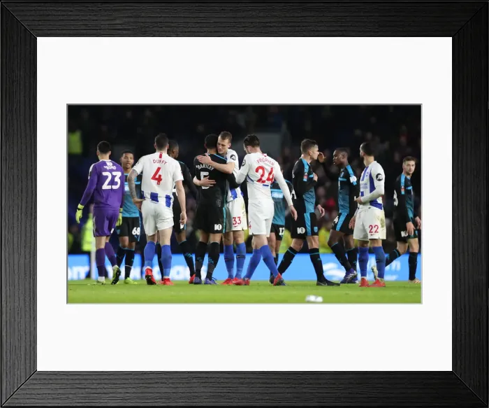 Framed Print : Brighton and Hove Albion vs. West Bromwich Albion: FA Cup Clash at American Express Community Stadium (26th January 2019)