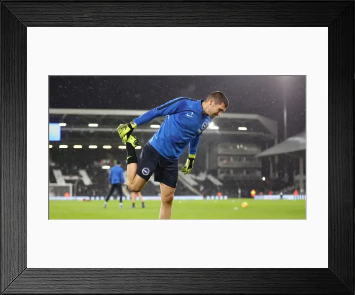Framed Print : Brighton and Hove Albion vs. Fulham: A Premier League Battle at Craven Cottage (29 JAN 19)