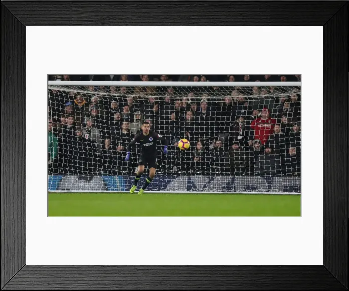 Framed Print : Intense Premier League Showdown: Brighton and Hove Albion vs. Fulham (29 JAN 19) Framed Print : Intense Premier League Showdown: Brighton and Hove Albion vs. Fulham (29 JAN 19)