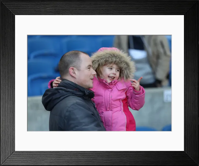 Framed Print : Brighton and Hove Albion vs. Watford: Premier League Showdown at American Express Community Stadium (02FEB19) Framed Print : Brighton and Hove Albion vs. Watford: Premier League Showdown at American Express Community Stadium (02FEB19)