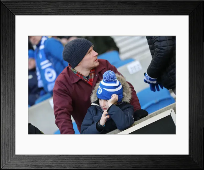 Framed Print : Brighton and Hove Albion vs. Watford: Premier League Showdown at American Express Community Stadium (February 2019)