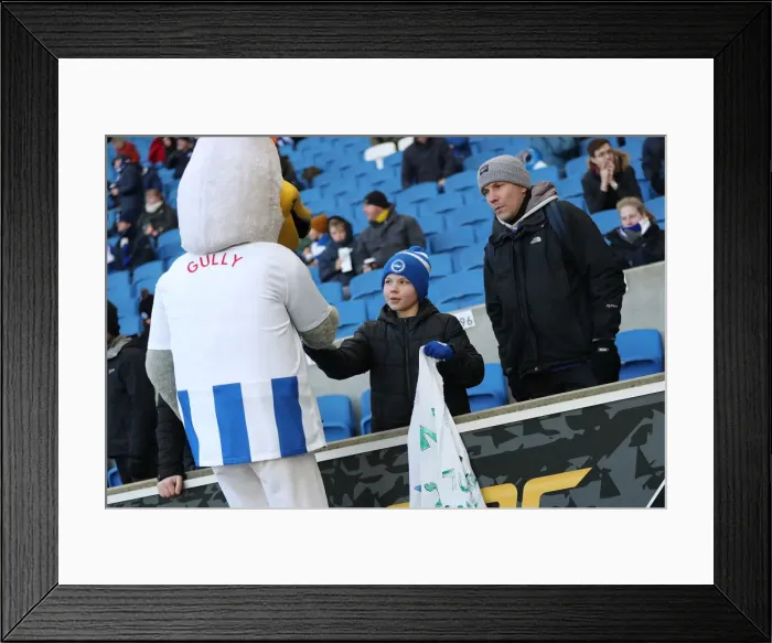 Framed Print : Brighton and Hove Albion vs. Watford: Premier League Showdown at American Express Community Stadium (02FEB19) Framed Print : Brighton and Hove Albion vs. Watford: Premier League Showdown at American Express Community Stadium (02FEB19)