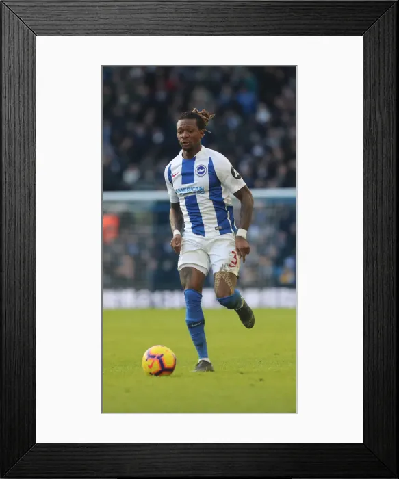 Framed Print : Brighton and Hove Albion vs. Watford: Premier League Showdown at American Express Community Stadium (02FEB19) Framed Print : Brighton and Hove Albion vs. Watford: Premier League Showdown at American Express Community Stadium (02FEB19)