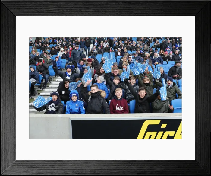 Framed Print : Brighton and Hove Albion vs. Watford: Premier League Showdown at American Express Community Stadium (02FEB19) Framed Print : Brighton and Hove Albion vs. Watford: Premier League Showdown at American Express Community Stadium (02FEB19)