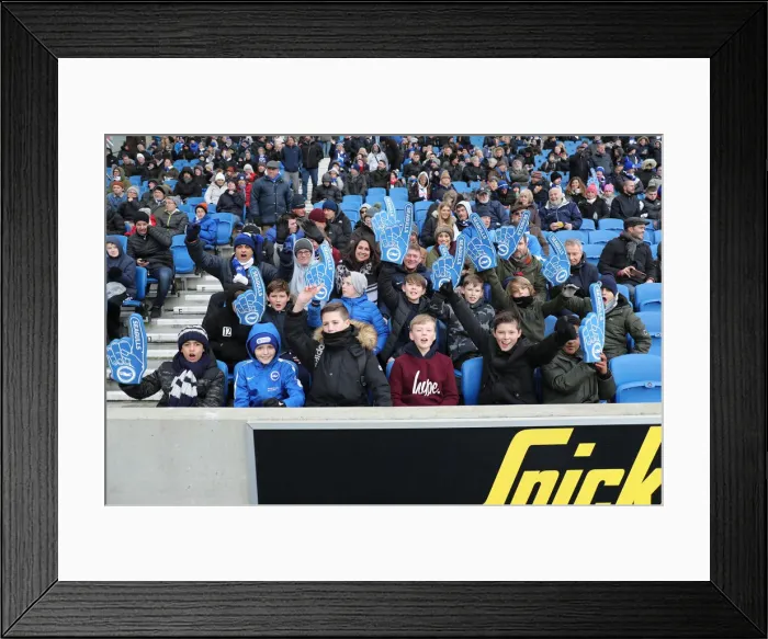 Framed Print : Brighton and Hove Albion vs. Watford: Premier League Showdown at American Express Community Stadium (02FEB19) Framed Print : Brighton and Hove Albion vs. Watford: Premier League Showdown at American Express Community Stadium (02FEB19)
