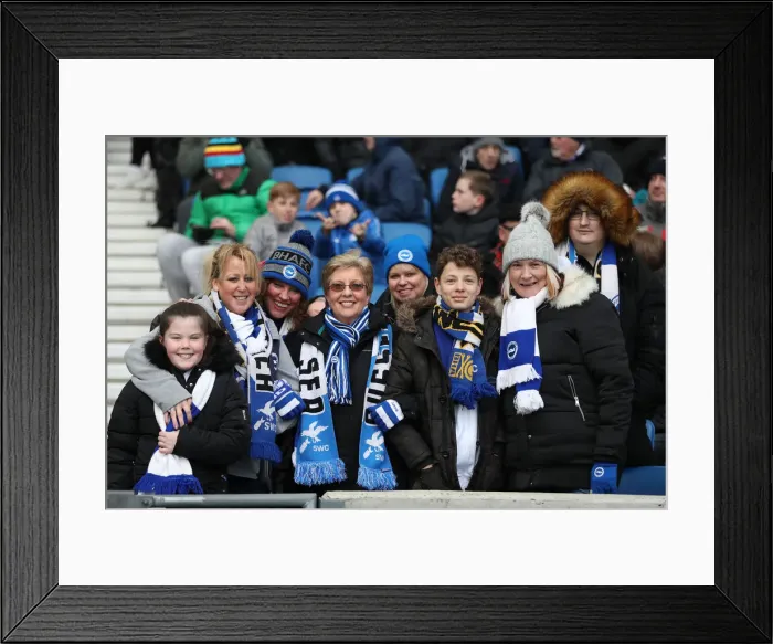 Framed Print : Brighton and Hove Albion vs. Watford: Premier League Showdown at American Express Community Stadium (02FEB19) Framed Print : Brighton and Hove Albion vs. Watford: Premier League Showdown at American Express Community Stadium (02FEB19)