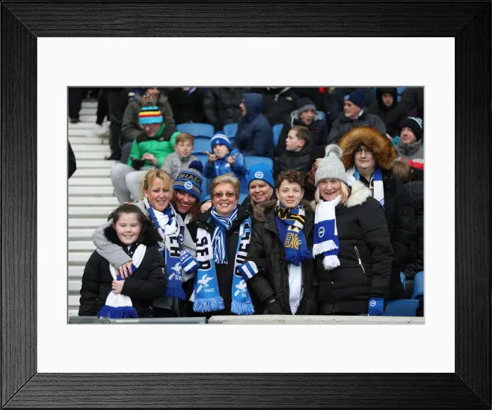 Framed Print : Brighton and Hove Albion vs. Watford: Premier League Showdown at American Express Community Stadium (02FEB19) Framed Print : Brighton and Hove Albion vs. Watford: Premier League Showdown at American Express Community Stadium (02FEB19)
