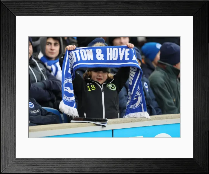 Framed Print : Brighton and Hove Albion vs. Watford: Premier League Showdown at American Express Community Stadium (02FEB19) Framed Print : Brighton and Hove Albion vs. Watford: Premier League Showdown at American Express Community Stadium (02FEB19)