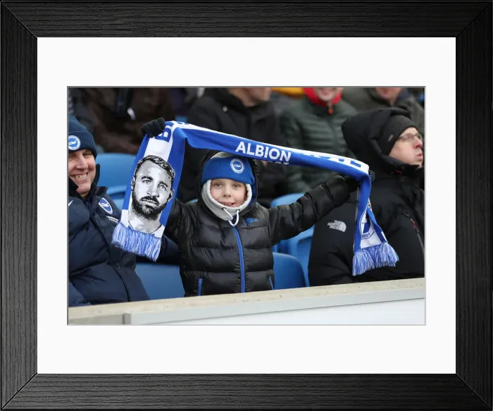 Framed Print : Brighton and Hove Albion vs. Watford: Premier League Showdown at American Express Community Stadium (02FEB19) Framed Print : Brighton and Hove Albion vs. Watford: Premier League Showdown at American Express Community Stadium (02FEB19)