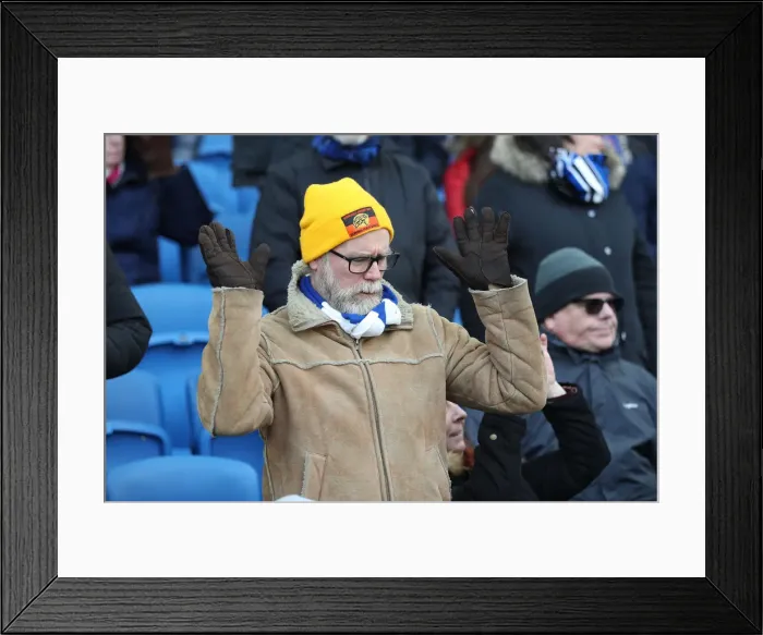 Framed Print : Brighton and Hove Albion vs. Watford: Premier League Showdown at American Express Community Stadium (02FEB19) Framed Print : Brighton and Hove Albion vs. Watford: Premier League Showdown at American Express Community Stadium (02FEB19)