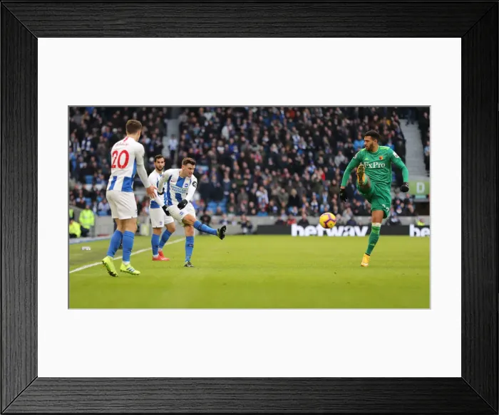 Framed Print : Brighton and Hove Albion vs. Watford: Premier League Showdown at American Express Community Stadium (February 2, 2019) Framed Print : Brighton and Hove Albion vs. Watford: Premier League Showdown at American Express Community Stadium (February 2, 2019)