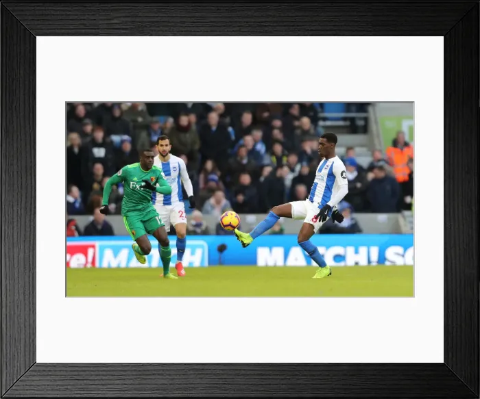 Framed Print : Brighton and Hove Albion vs. Watford: Premier League Showdown at American Express Community Stadium (02FEB19) Framed Print : Brighton and Hove Albion vs. Watford: Premier League Showdown at American Express Community Stadium (02FEB19)