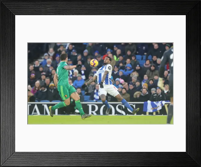 Framed Print : Brighton and Hove Albion vs. Watford: Premier League Showdown at American Express Community Stadium (02FEB19) Framed Print : Brighton and Hove Albion vs. Watford: Premier League Showdown at American Express Community Stadium (02FEB19)