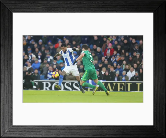 Framed Print : Brighton and Hove Albion vs. Watford: Premier League Showdown at American Express Community Stadium (02FEB19) Framed Print : Brighton and Hove Albion vs. Watford: Premier League Showdown at American Express Community Stadium (02FEB19)