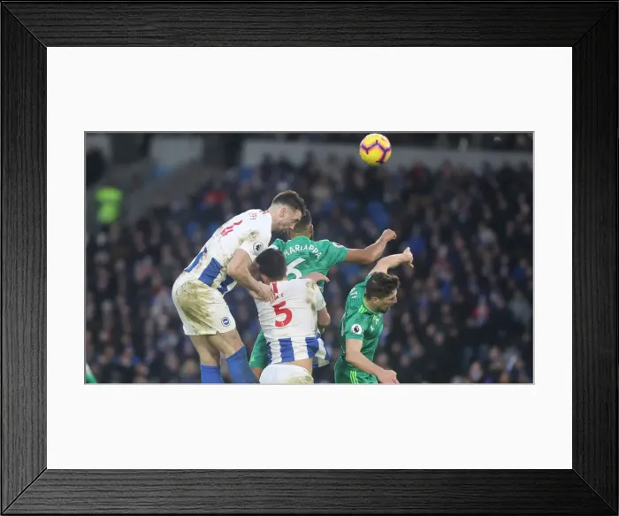 Framed Print : Brighton and Hove Albion vs. Watford: Premier League Showdown at American Express Community Stadium (02FEB19) Framed Print : Brighton and Hove Albion vs. Watford: Premier League Showdown at American Express Community Stadium (02FEB19)