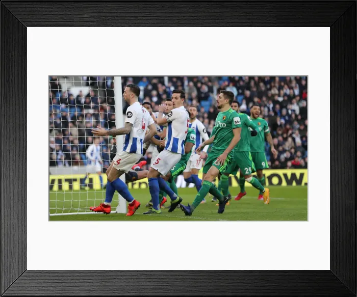 Framed Print : Brighton and Hove Albion vs. Watford: Premier League Showdown at American Express Community Stadium (02FEB19)
