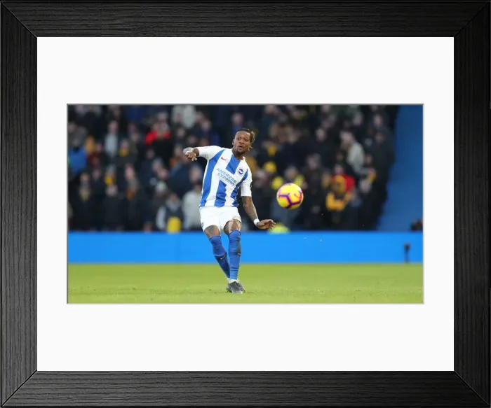Framed Print : Brighton and Hove Albion vs. Watford: Premier League Showdown at American Express Community Stadium (02FEB19) Framed Print : Brighton and Hove Albion vs. Watford: Premier League Showdown at American Express Community Stadium (02FEB19)