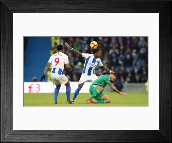 Framed Print : Brighton and Hove Albion vs. Watford: Premier League Showdown at American Express Community Stadium (02FEB19) Framed Print : Brighton and Hove Albion vs. Watford: Premier League Showdown at American Express Community Stadium (02FEB19)