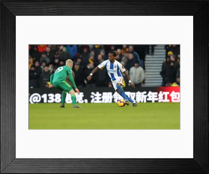 Framed Print : Brighton and Hove Albion vs. Watford: Premier League Showdown at American Express Community Stadium (02FEB19) Framed Print : Brighton and Hove Albion vs. Watford: Premier League Showdown at American Express Community Stadium (02FEB19)