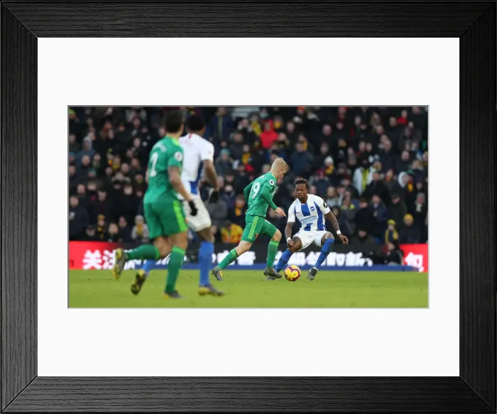 Framed Print : Brighton and Hove Albion vs. Watford: Premier League Showdown at American Express Community Stadium (02FEB19) Framed Print : Brighton and Hove Albion vs. Watford: Premier League Showdown at American Express Community Stadium (02FEB19)