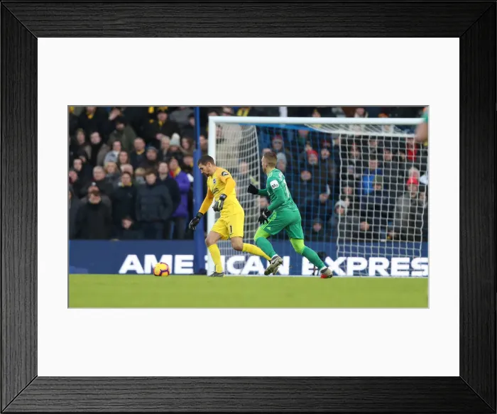 Framed Print : Brighton and Hove Albion vs. Watford: Premier League Showdown at American Express Community Stadium (02FEB19) Framed Print : Brighton and Hove Albion vs. Watford: Premier League Showdown at American Express Community Stadium (02FEB19)