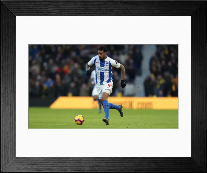 Framed Print : Brighton and Hove Albion vs. Watford: Premier League Showdown at American Express Community Stadium (02FEB19) Framed Print : Brighton and Hove Albion vs. Watford: Premier League Showdown at American Express Community Stadium (02FEB19)