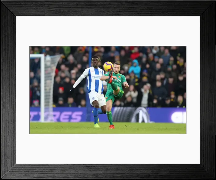 Framed Print : Brighton and Hove Albion vs. Watford: Premier League Showdown at American Express Community Stadium (02FEB19)