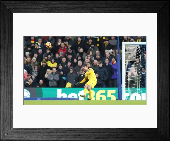 Framed Print : Brighton and Hove Albion vs. Watford: Premier League Showdown at American Express Community Stadium (February 2, 2019) Framed Print : Brighton and Hove Albion vs. Watford: Premier League Showdown at American Express Community Stadium (February 2, 2019)